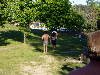/PBB/PhotoGallery/SoftBall/03/Family Friends/