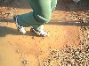 /PBB/PhotoGallery/SoftBall/00/06-28-00/