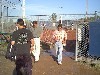 /PBB/PhotoGallery/SoftBall/00/Crazy Hat Day/