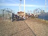 /PBB/PhotoGallery/SoftBall/00/